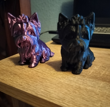 Terrier Yorkshire Sentado